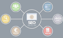 南山网站SEO 优化  推广