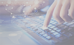 南山企业宣传网站建设